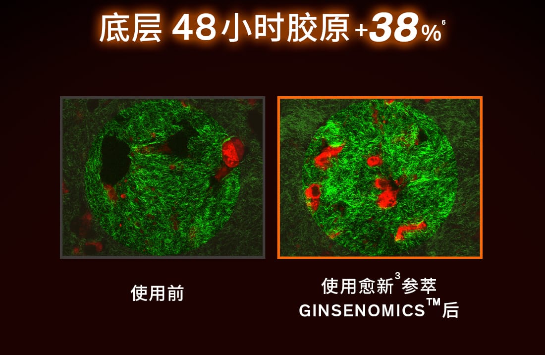 雪花秀御时参养乳霜