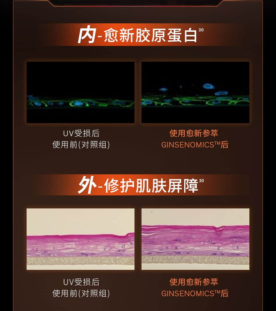 雪花秀御时参养乳霜