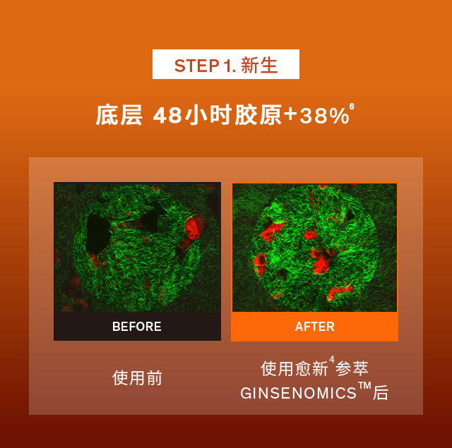 雪花秀御时参养乳霜