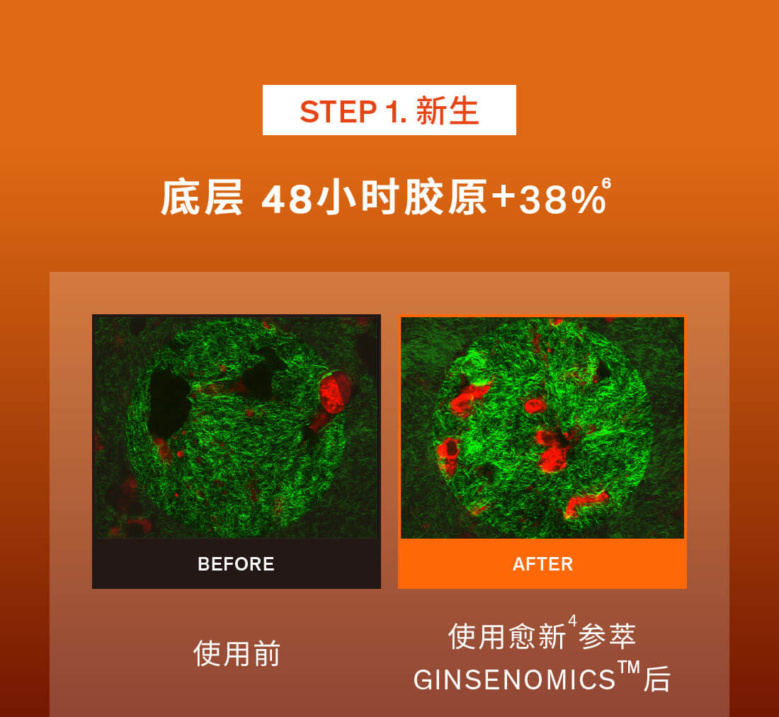 雪花秀御时参养乳霜