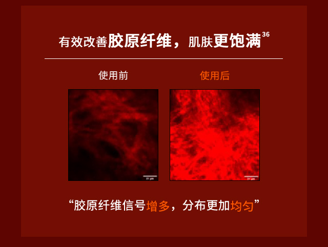 雪花秀御时参养乳霜