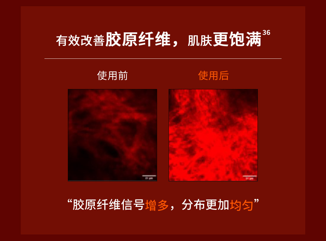 雪花秀御时参养乳霜