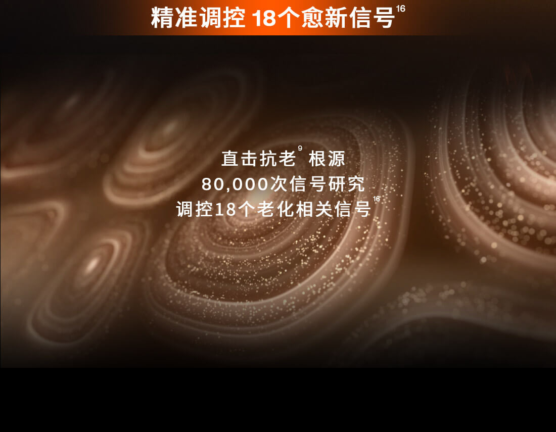 雪花秀御时参养乳