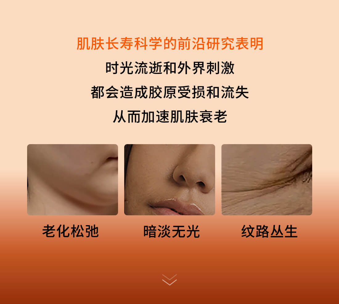 雪花秀御时参养水