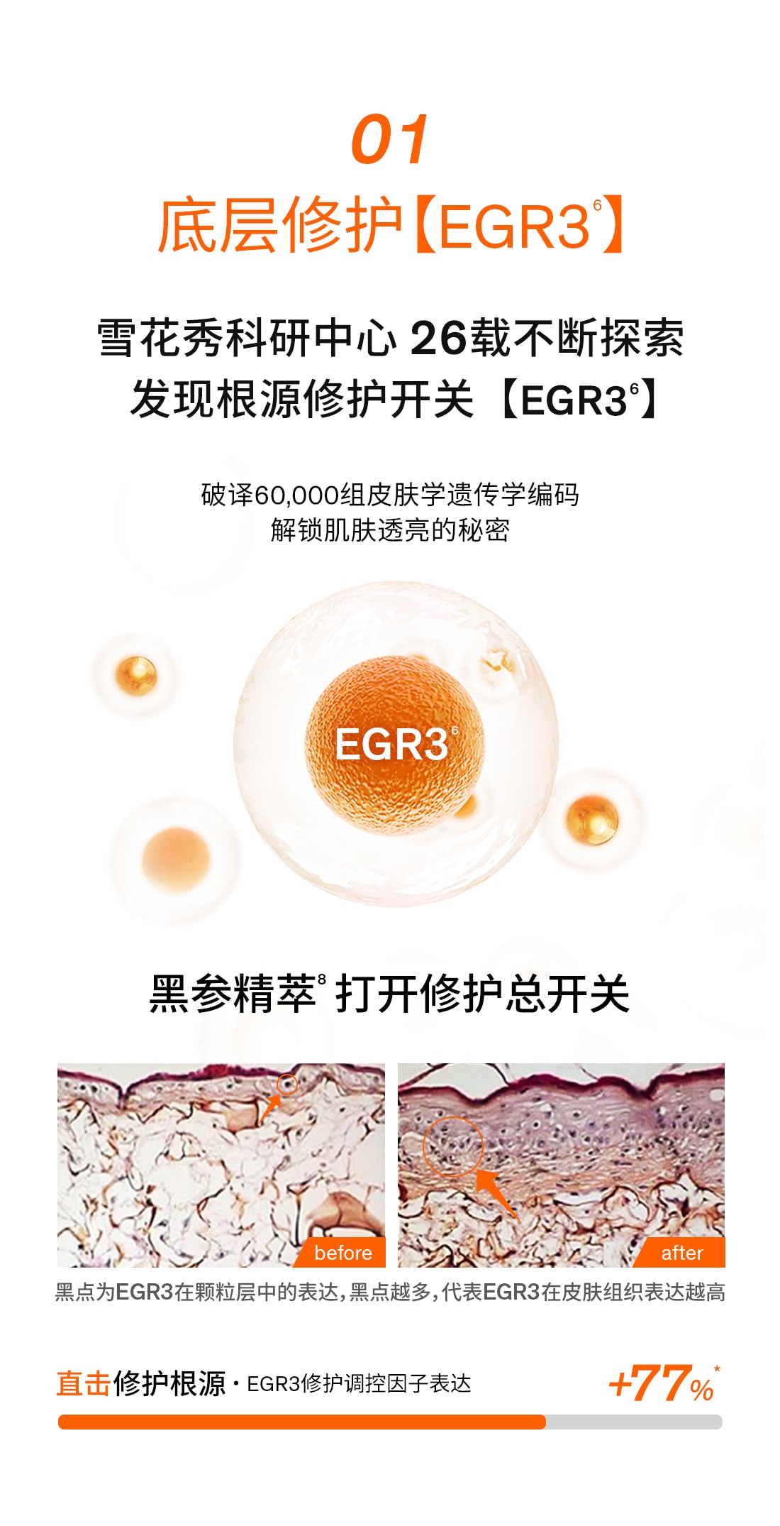 第六代润致焕活肌底精华液